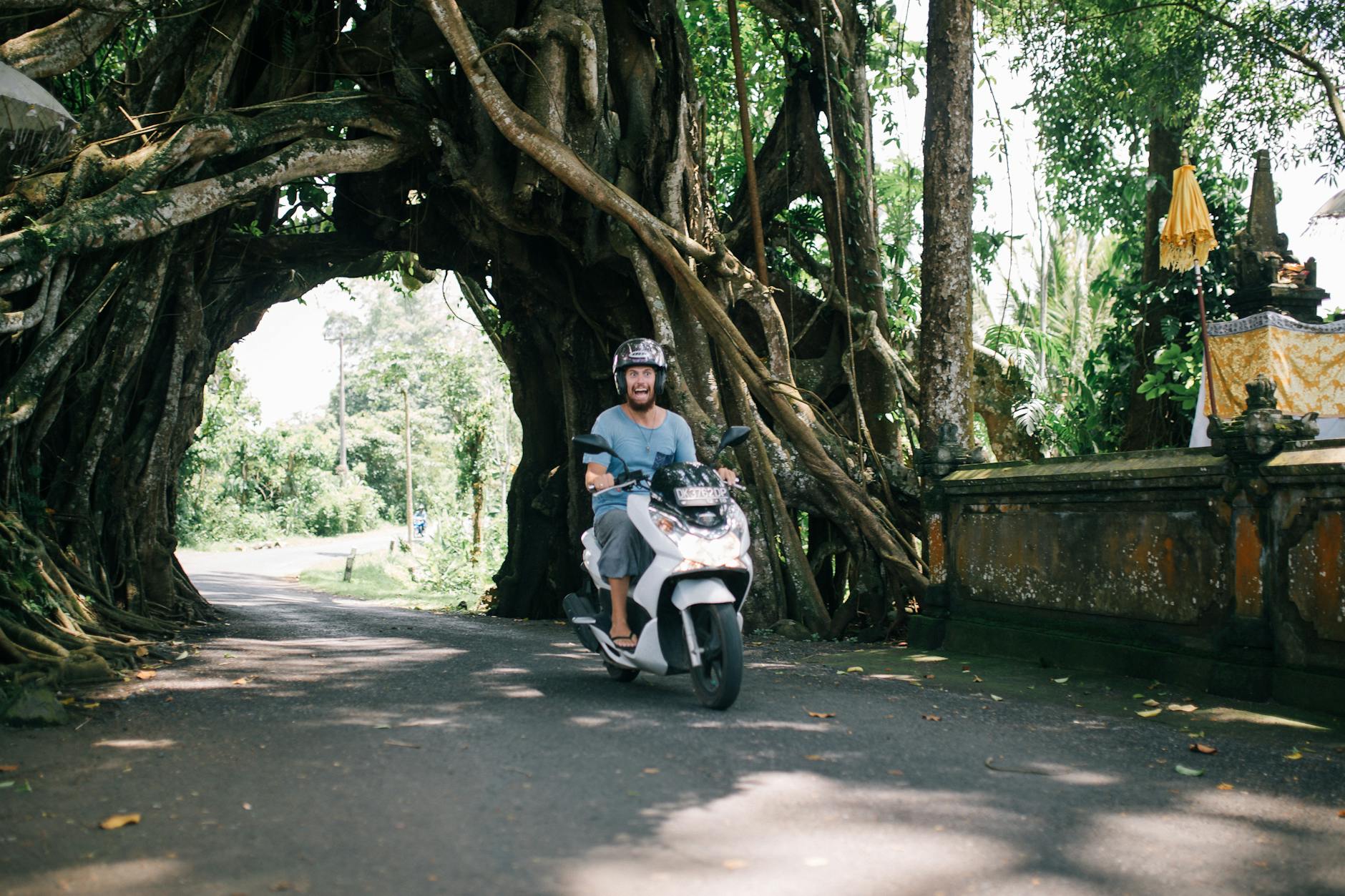 East Bali: Besakih Mother Temple, Rendang Terraces & Waterfalls